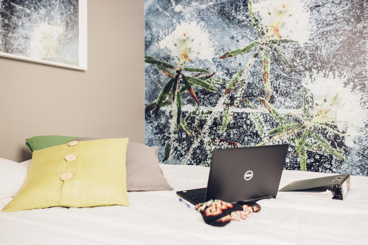 Отель Hotel Kittilae